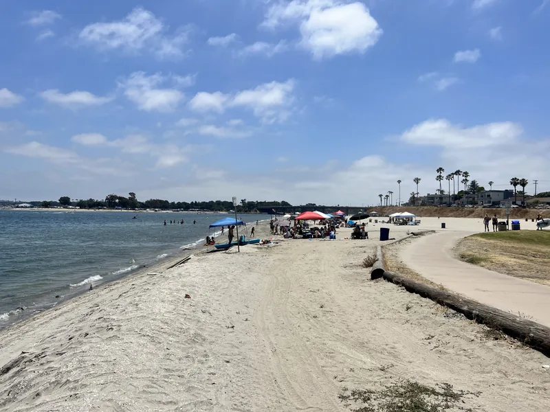 Mission Bay shoreline with sand, calm water and palm trees in the distance
